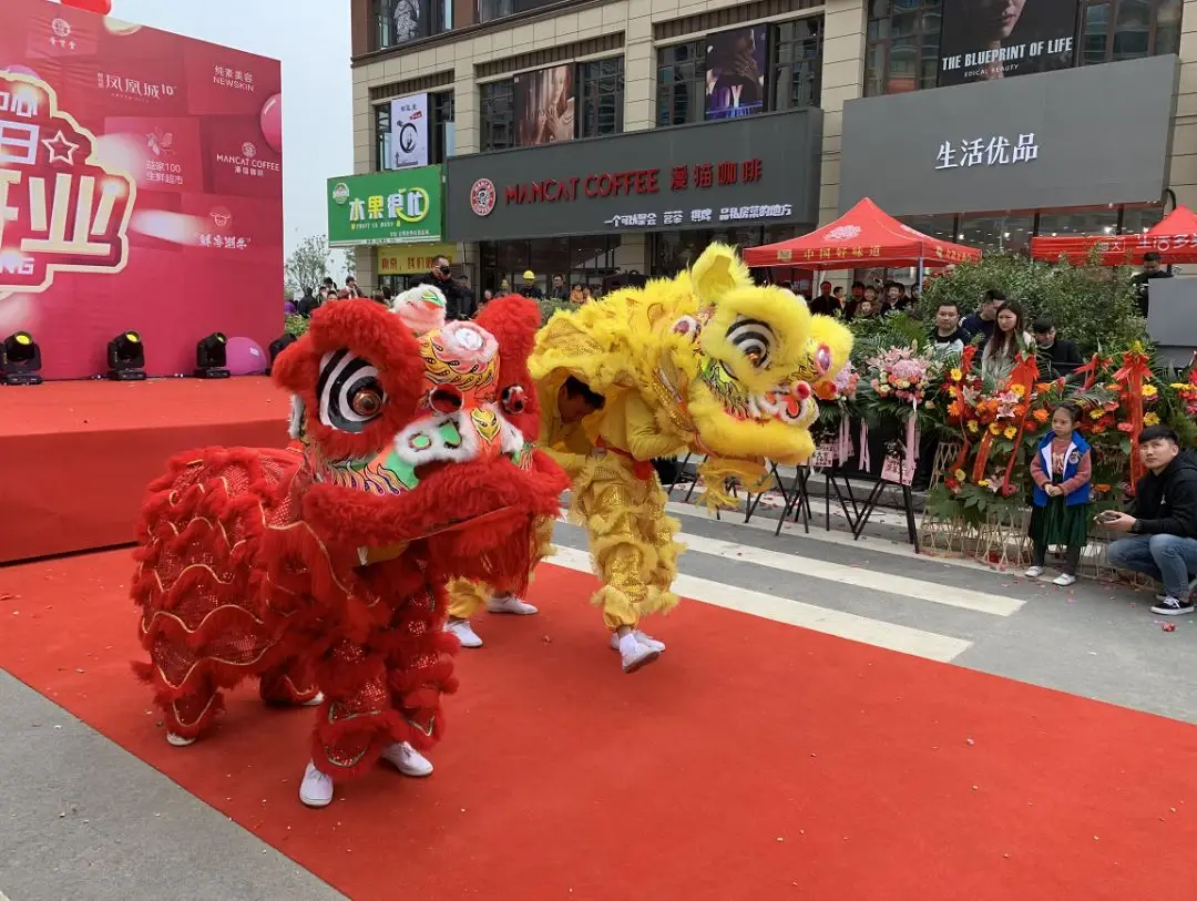 万人空巷!刚刚1.1万方新商业体开业,燃爆凤凰城