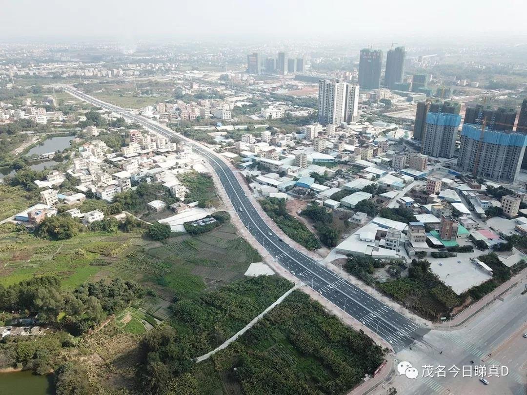 又是站南片区，连接茂名大道的金城东路开始施工招标了！