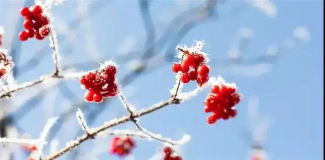 工程进度播报：一纸寄深情，暖冬悦家人!