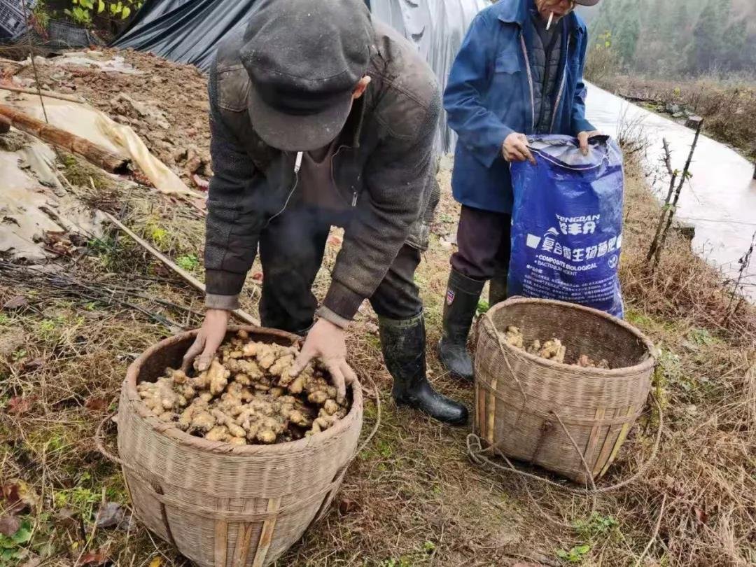 公益助农 美好怀化 我们一路前行！