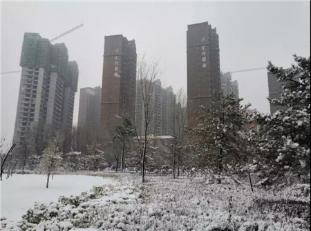 【汇升·珑玺台】2020年，最美的雪景都在这里了……