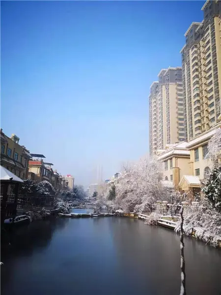 泰和兴龙湾丨濮阳首场大雪，什么地方这么美？