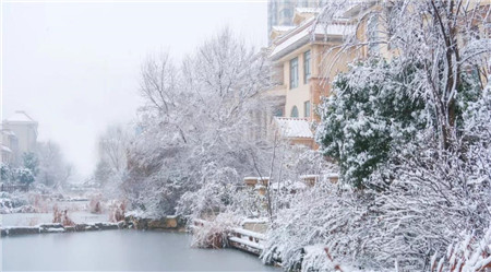 泰和兴龙湾丨濮阳首场大雪，什么地方这么美？