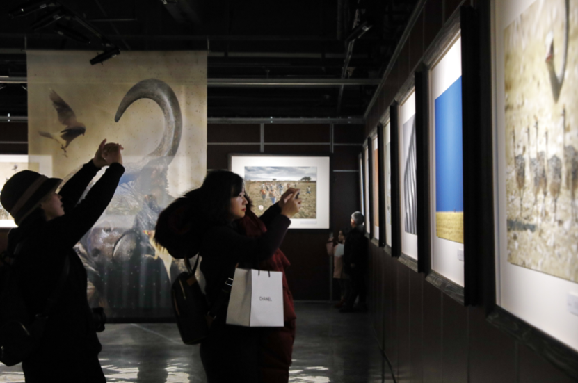 《永远的非洲》喻恵平影像特展1月11日在卓尔美术馆开展