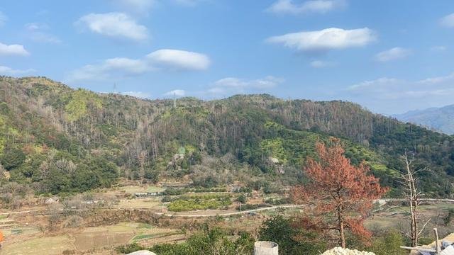 为人居新添一种方式，揭秘春风楠溪“山镜”实景