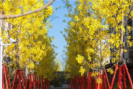 热烈祝贺【濮阳建业春天里】喜获“市级园林小区”荣誉称号！