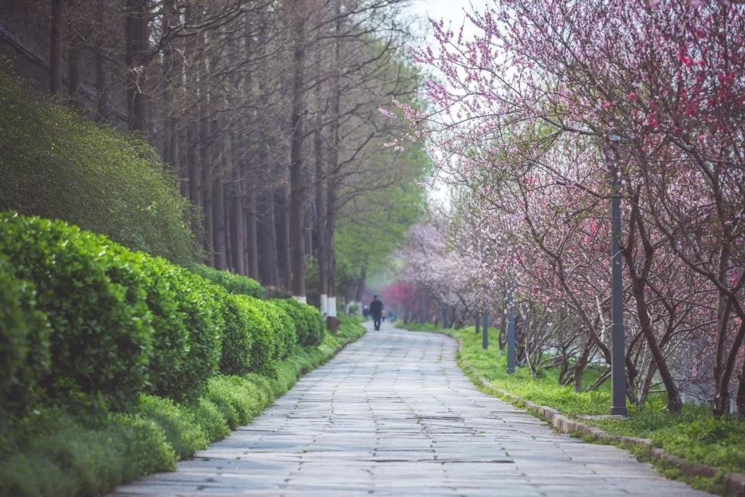 荆州古城实景图