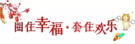 圣桦·锦江天悦丨2020届天悦龙城民俗节圆满落幕！