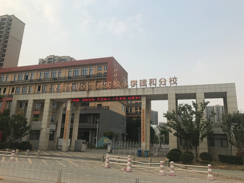 鲁巷实验小学在武汉的排名(鲁巷实验小学和武珞路小学哪个好)