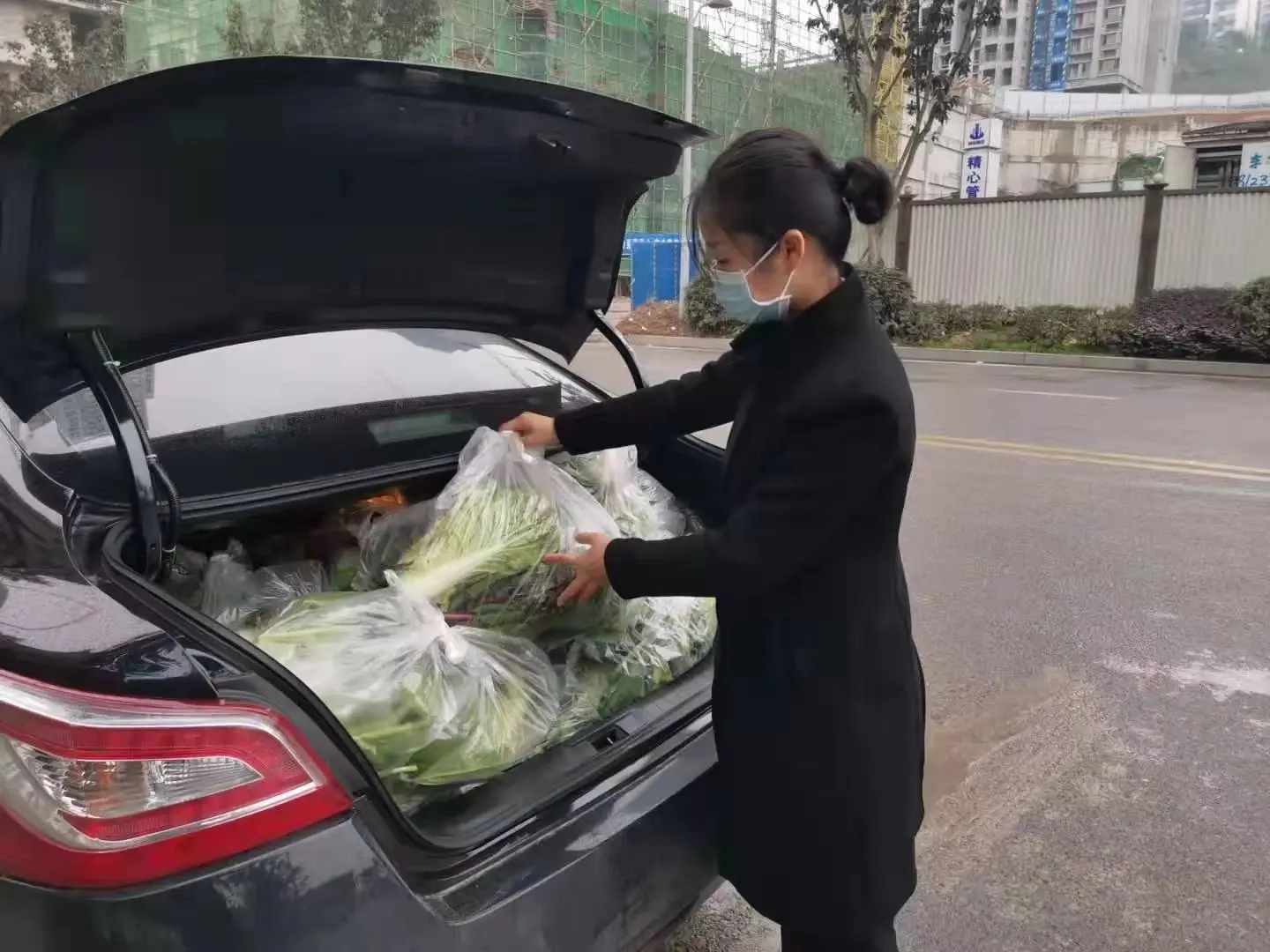 贴心让居家业主吃上新鲜蔬菜龙湖创新供给形式送菜到家