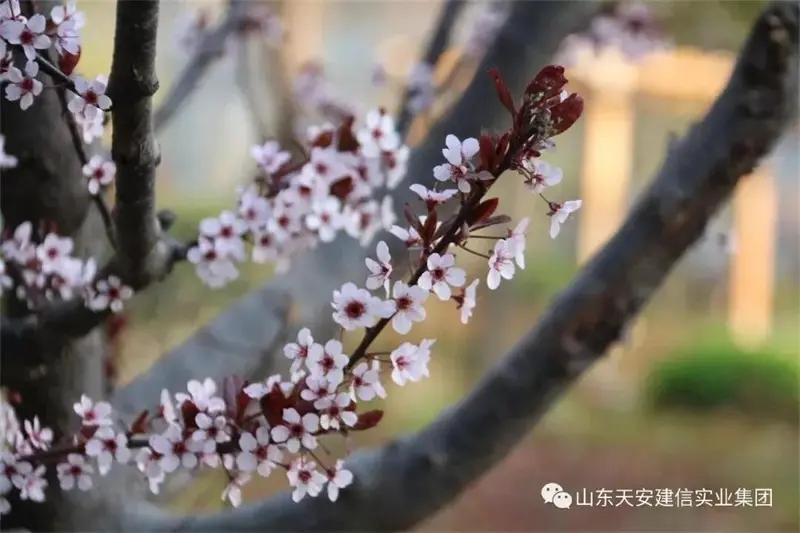 菏泽万达广场|不是所有的地段，都能诞生城市大平层