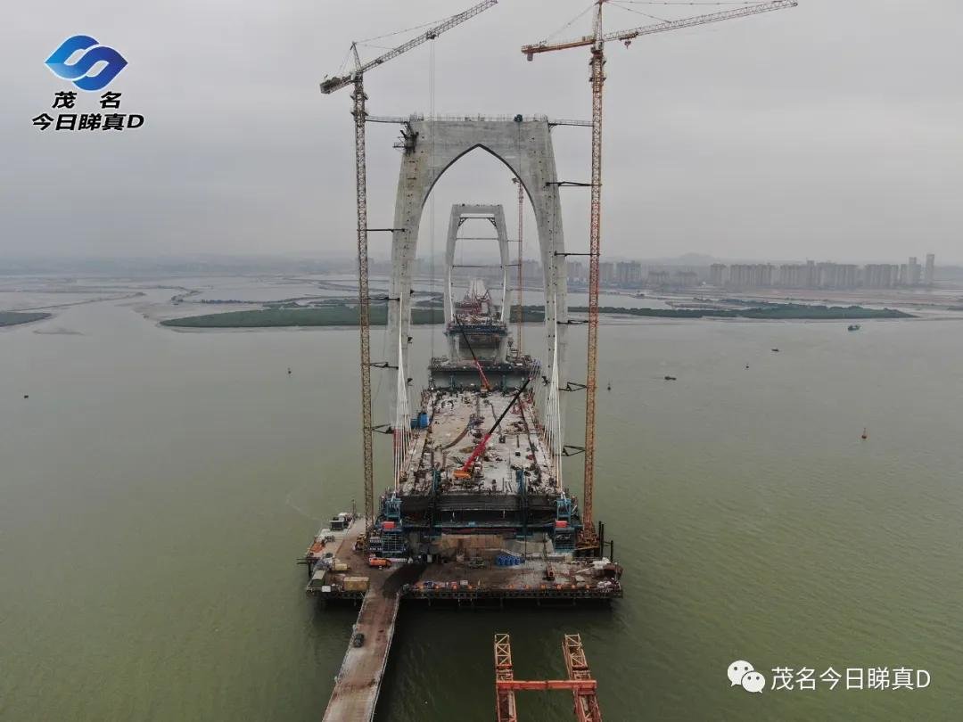 茂名水东湾跨海大桥重大进展，大桥雄姿渐显露！