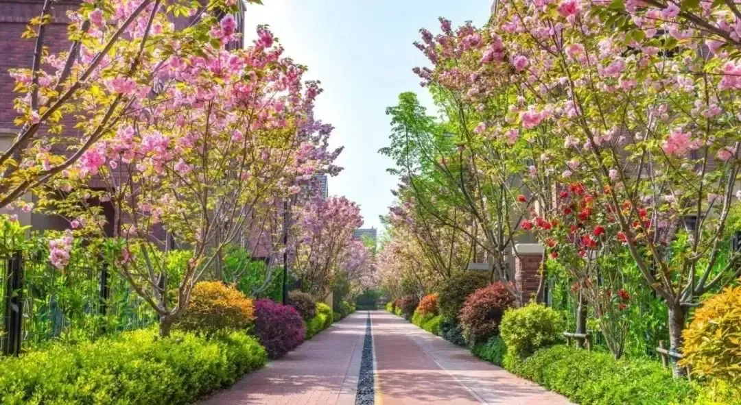 合肥旭辉·湖山源著 实景图在旭辉·翡翠江来(备案名:翡翠湖别院),在