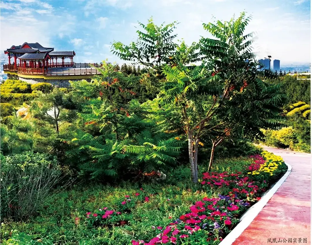 岭秀城 | 致敬英雄——您守护生命,让家守护_房产资讯-张家口房天下