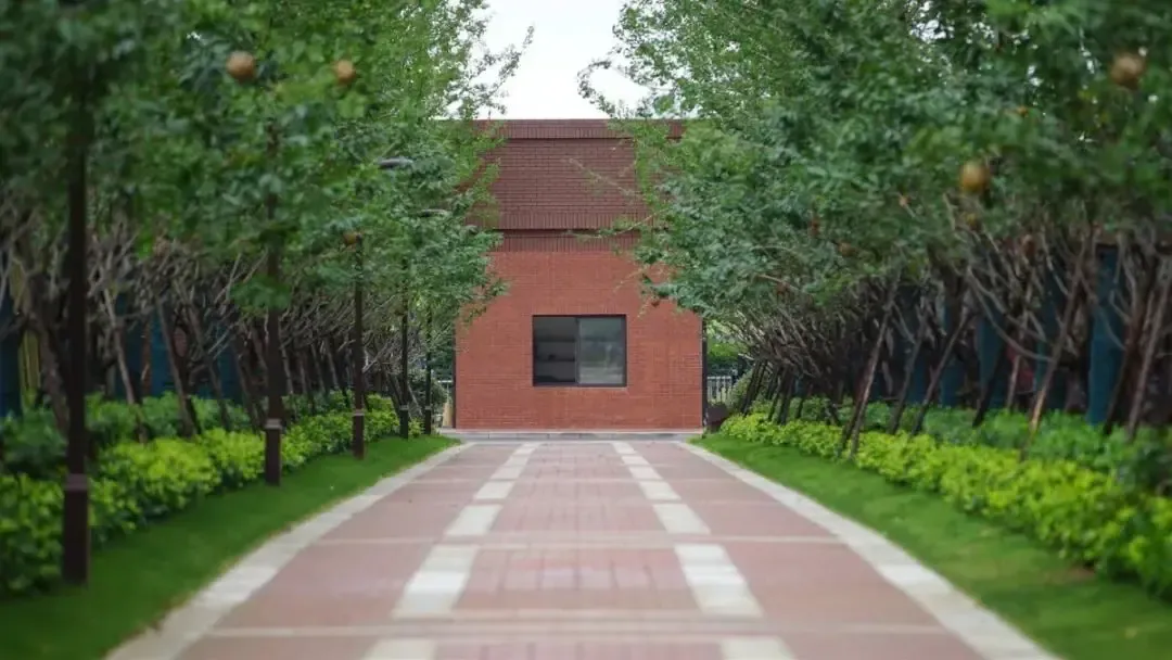 合肥朗香书院实景图极简,往往让人联想起肃杀的冬日.