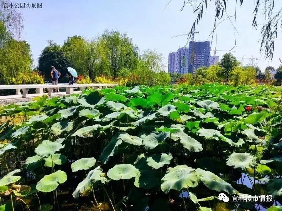 疫情过后 春暖花开 买套公园旁的生态好房