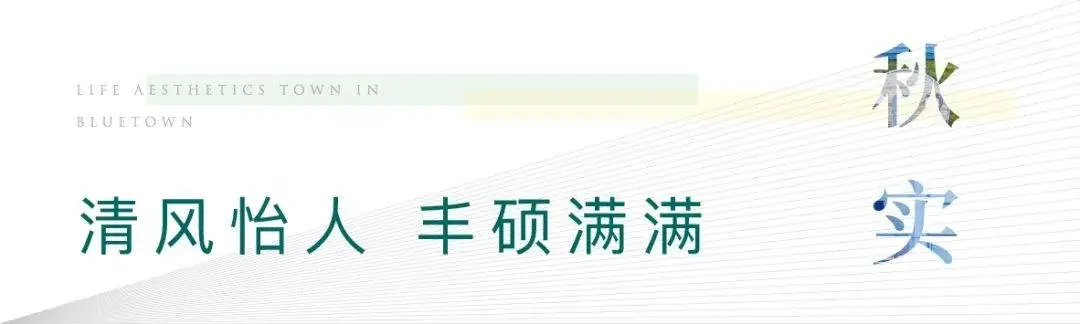 山镜上新|有一种浪漫叫山水间的露台生活