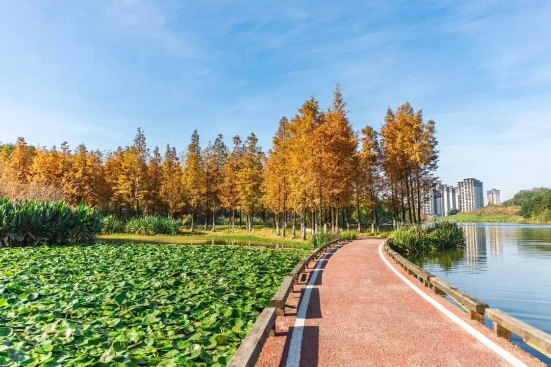 中鐵閱山湖迎來重大利好|環湖跑道全線貫通,公園生活再添風景