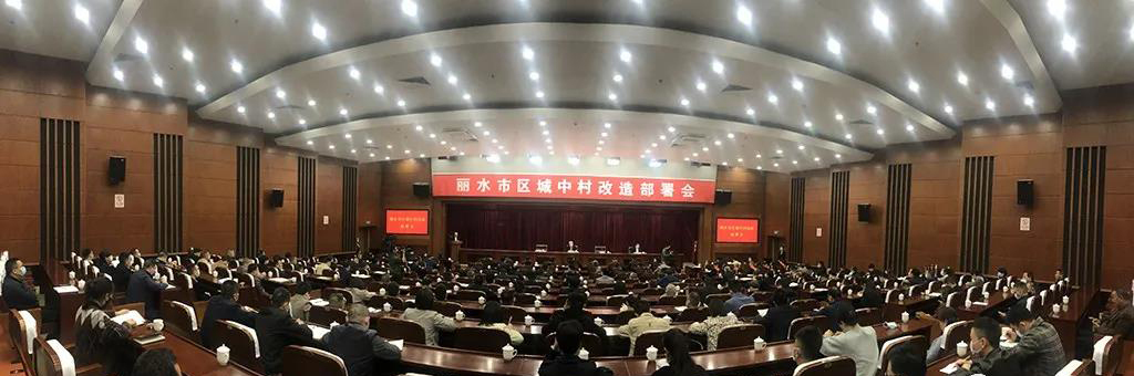 丽水市人民政府关于给予2019年度丽水市区城中村改造工作表现突出的集体和个人行政奖励的决定