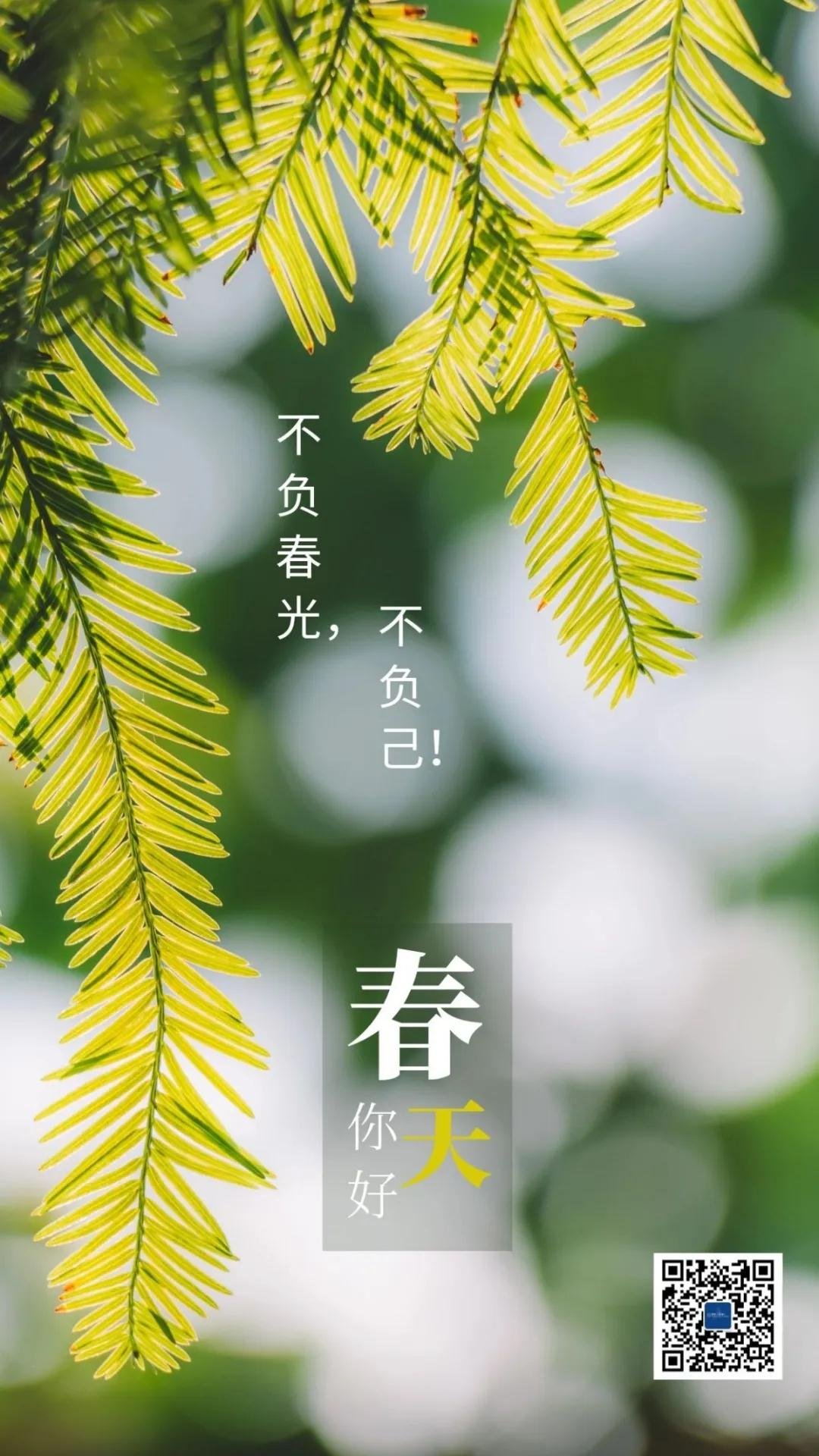 工程进度 | 不负春光，不负己！您的新家已有了幸福的模样~