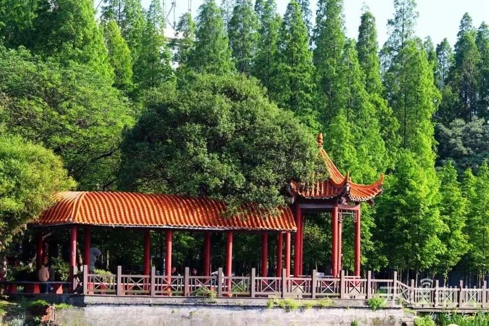 荆州中山公园实景图