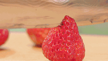 草莓、樱桃熟了！绥阳周边超全采摘地图！周末就出发！