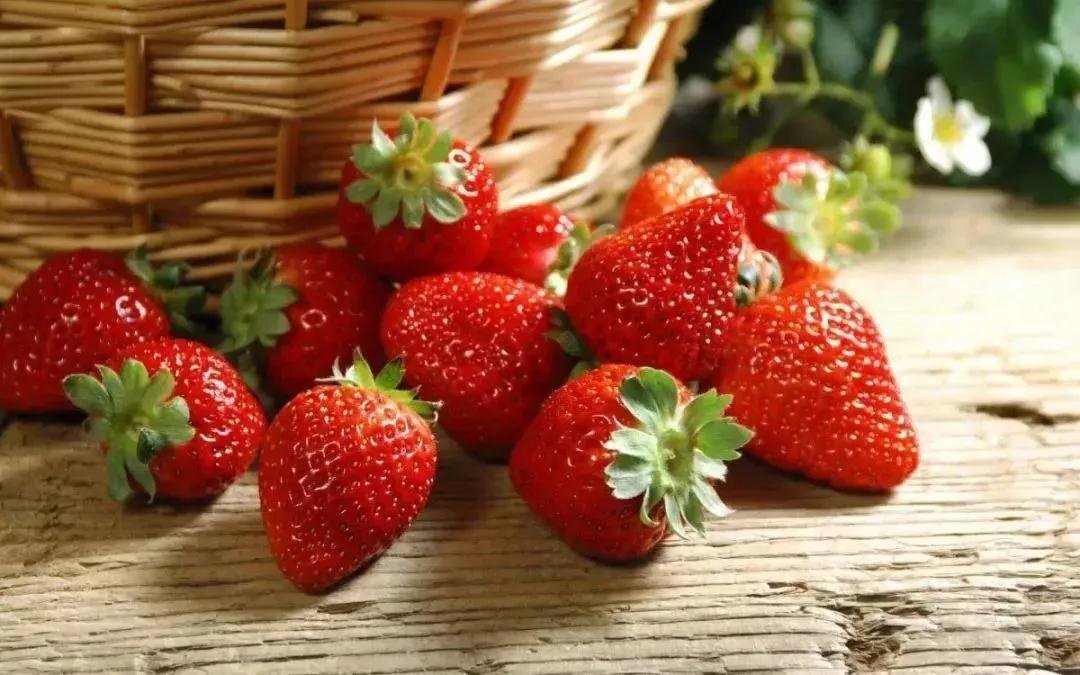 草莓、樱桃熟了！绥阳周边超全采摘地图！周末就出发！