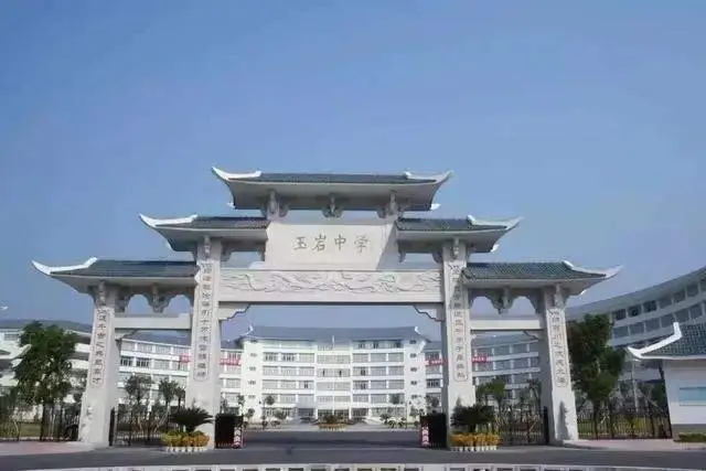 重磅消息镇龙中学或将成为玉岩教育集团嫡亲