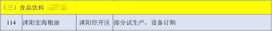 德国小镇、购物广场…沭阳重大项目进展！