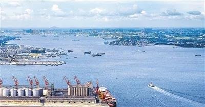 “一通道一港区一示范”引领湛江高质量发展