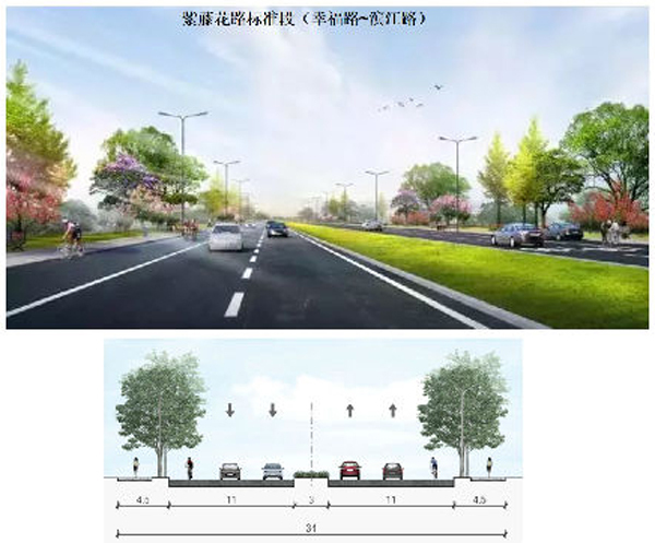 蓉江新区紫藤花路（滨江路至幸福路段）项目规划批前公示