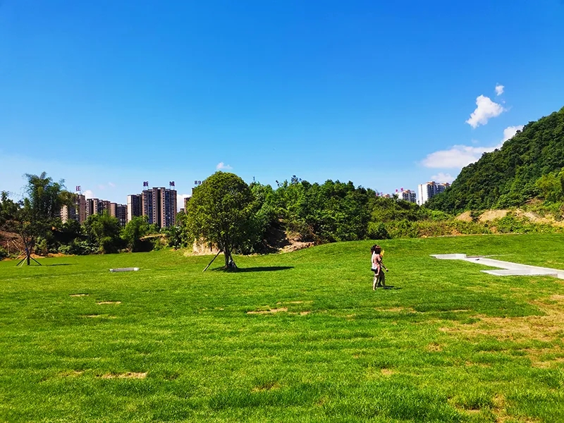 州城惊现3万平米草坪公园 紧邻清江新城