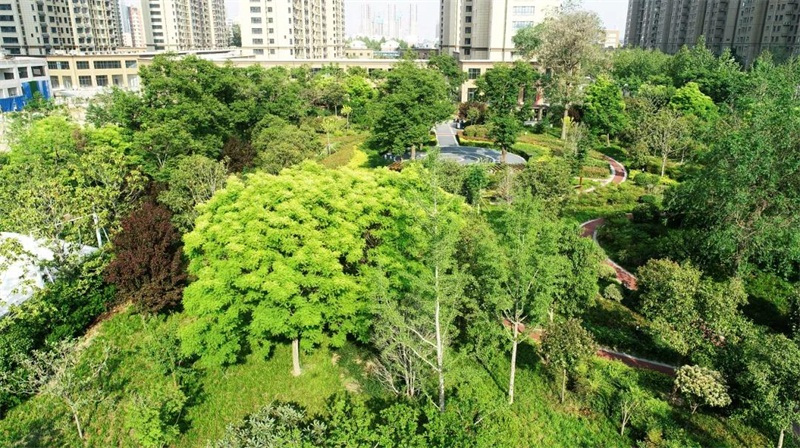 万达三期禧园已动工 住名门上市小的门票错过再无