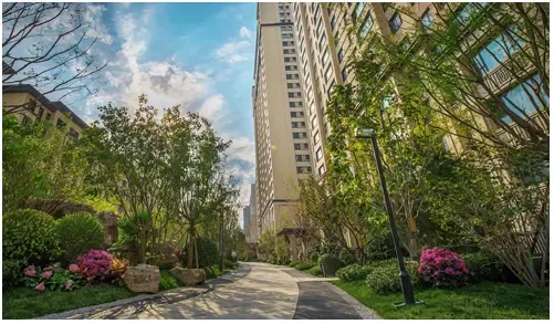 公园十七区丨一周年正精彩