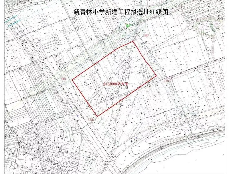 丽水城区新增一所学校——新青林小学