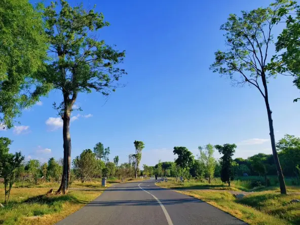 生态X科技X美景，大理热门打卡地——洱海生态廊道悄悄在升级!