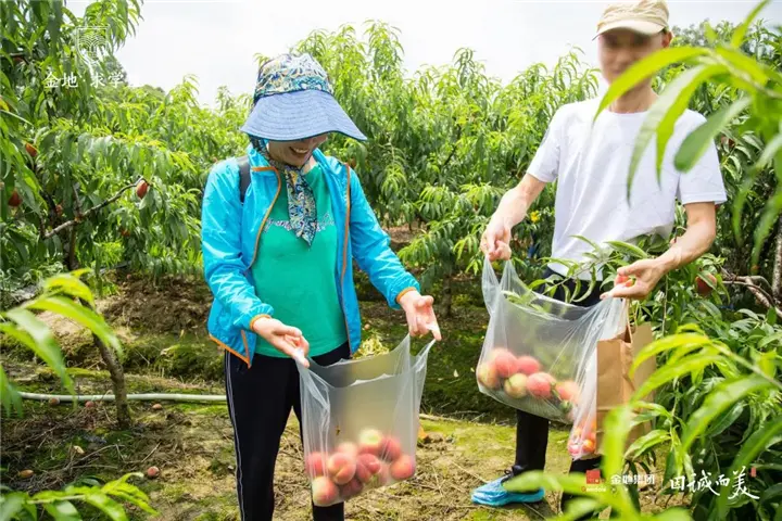 金地求学里丨一家人业主户外活动倾情落幕