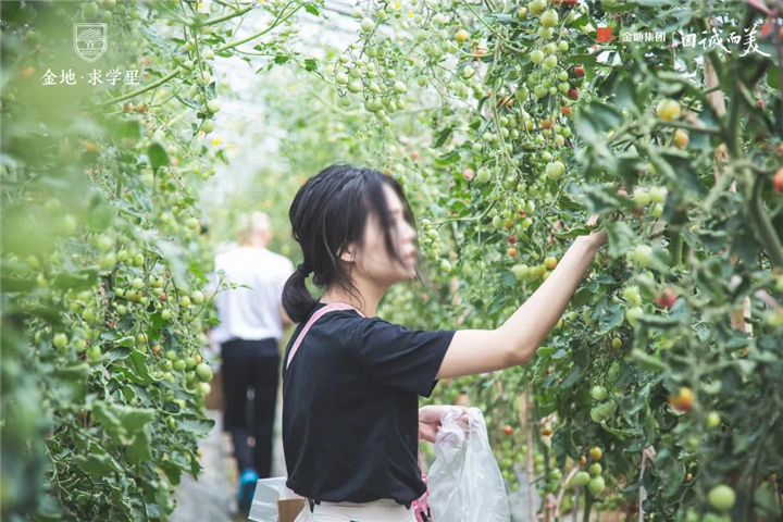 金地求学里丨一家人业主户外活动倾情落幕