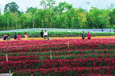 澄江市规划馆：抚仙湖畔新网红地标