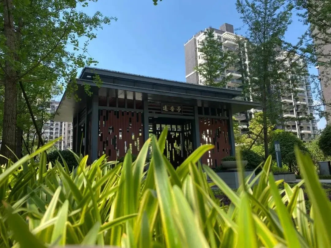 金时花园端午粽动员怀化出游攻略送给你