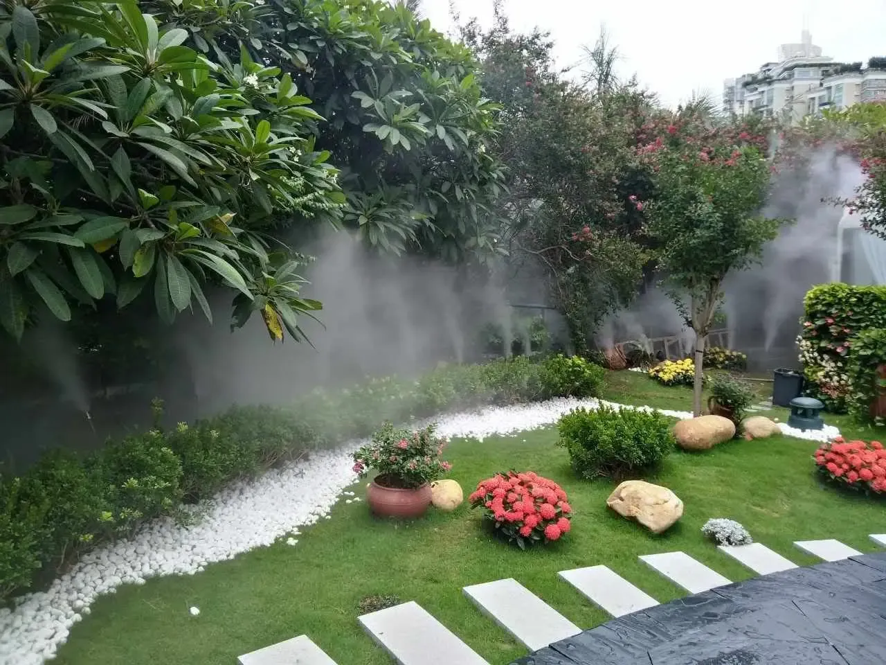 (示意图)03 雾气氤氲 鲜氧之上全园雾森覆盖,不仅