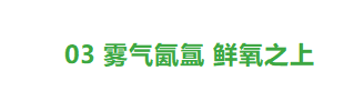 开发区只此一家￨有氧雾森系统楼盘，尊享“天然氧吧”