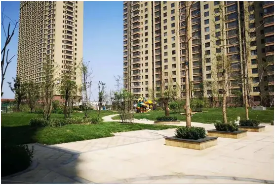 全龄社区配套中泽纯境实力打造美好家的模样