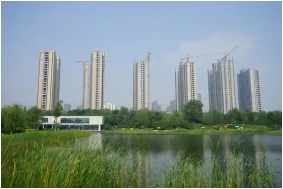 高品质筑家 感恩父爱-太原新房网-房天下