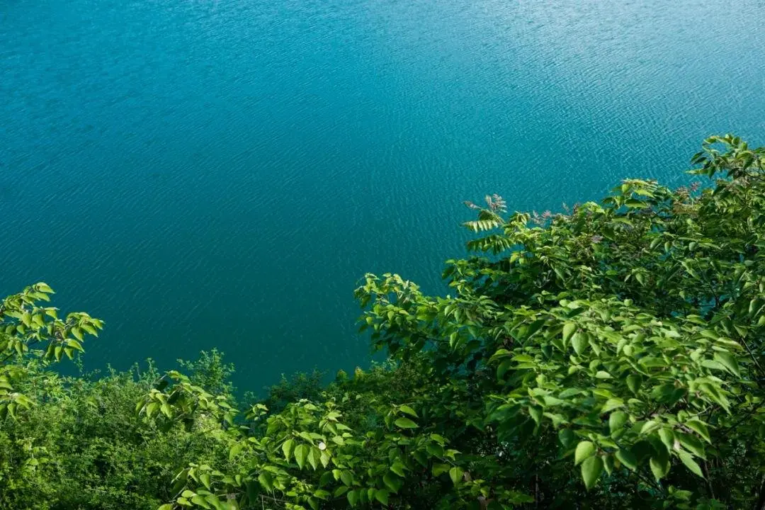 「天辰·景界」｜植物景观设计焕活全新生命力