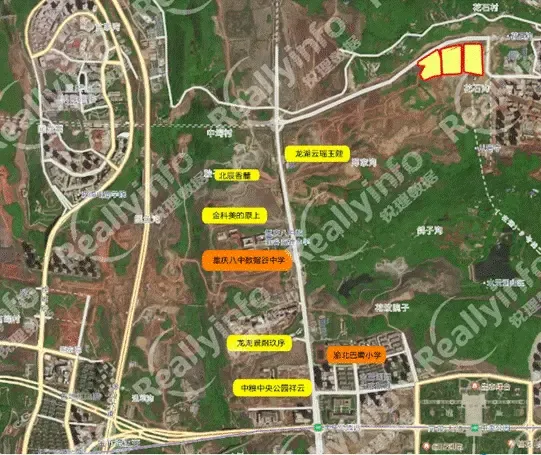 2020硬核买房攻略奉上,文末有福利!