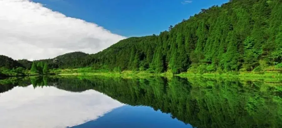 宝业·花街风情|好山好水好空气，生态，理想人居