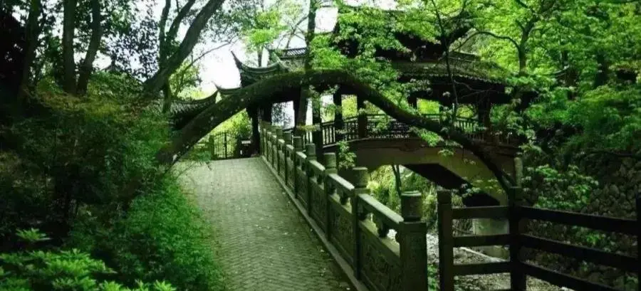 宝业·花街风情|好山好水好空气，生态，理想人居