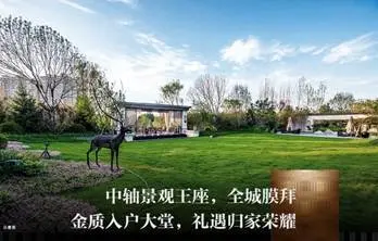 芦台城芯c位王座 光明路8号瞩目登场