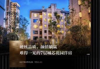 芦台城芯c位王座 光明路8号瞩目登场